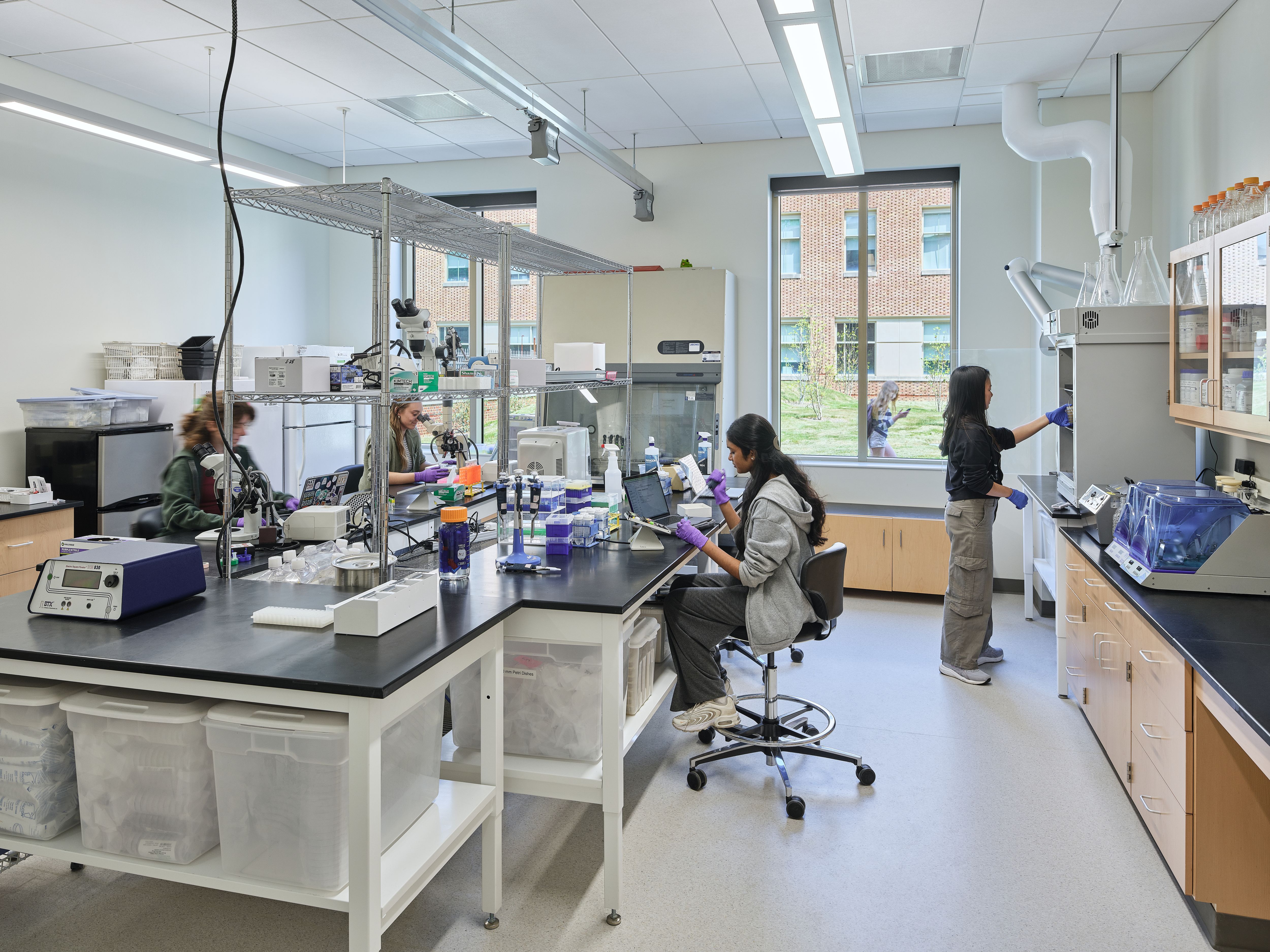 Students work in Dr. Margaret Saha's synthetic biology lab. (© Keith Isaacs / @keithisaacsphoto)