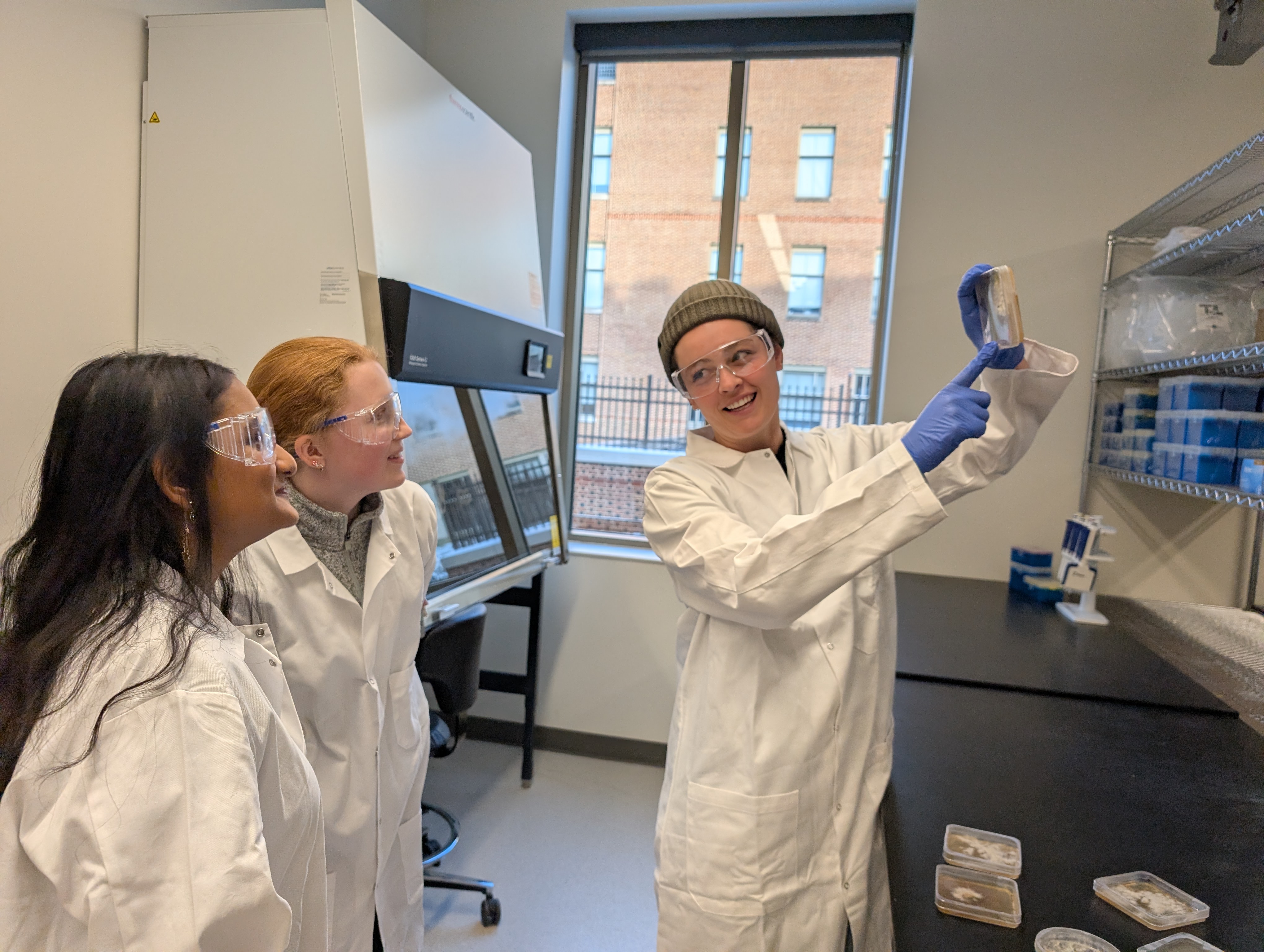 Talia Backman, a Post-Doctoral Researcher, explains culturing fungi to undergraduate students in the TIDAL Lab. 